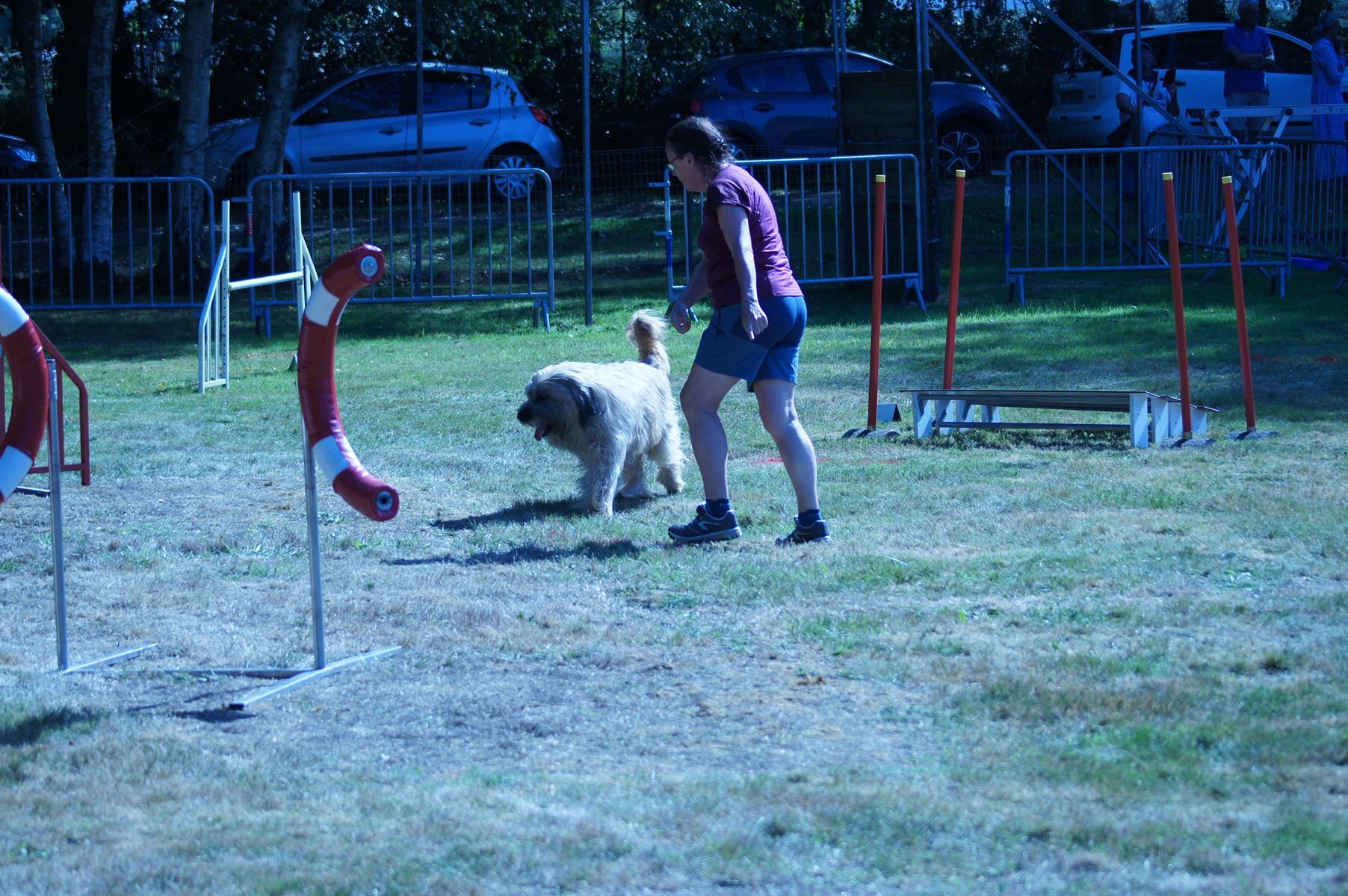 CONCOURS AGILITY 28 AOÛT 2022