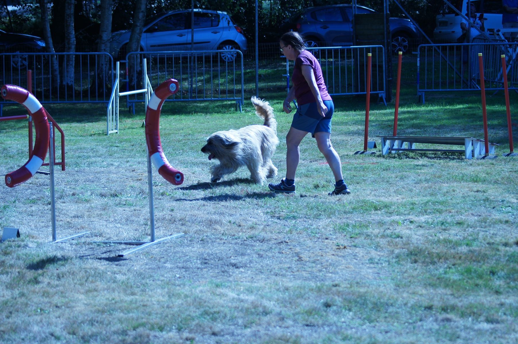 CONCOURS AGILITY 28 AOÛT 2022