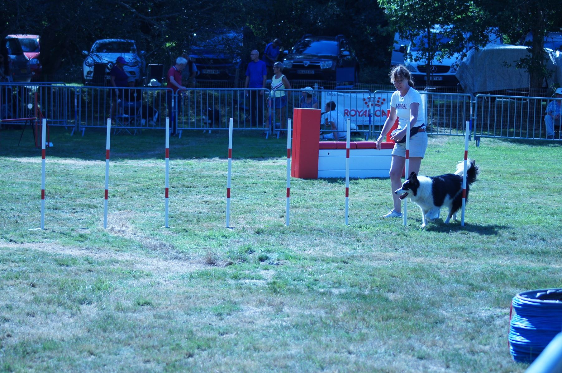 CONCOURS AGILITY 28 AOÛT 2022