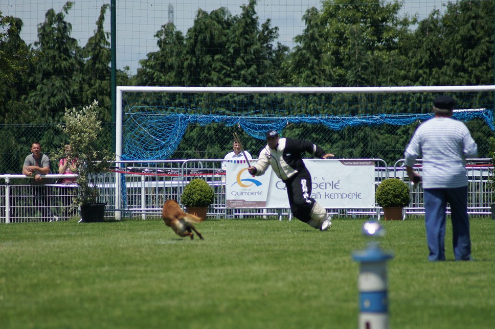 Championnat de France RING 29 ET 30 JUIN 2013 A QUIMPERLE