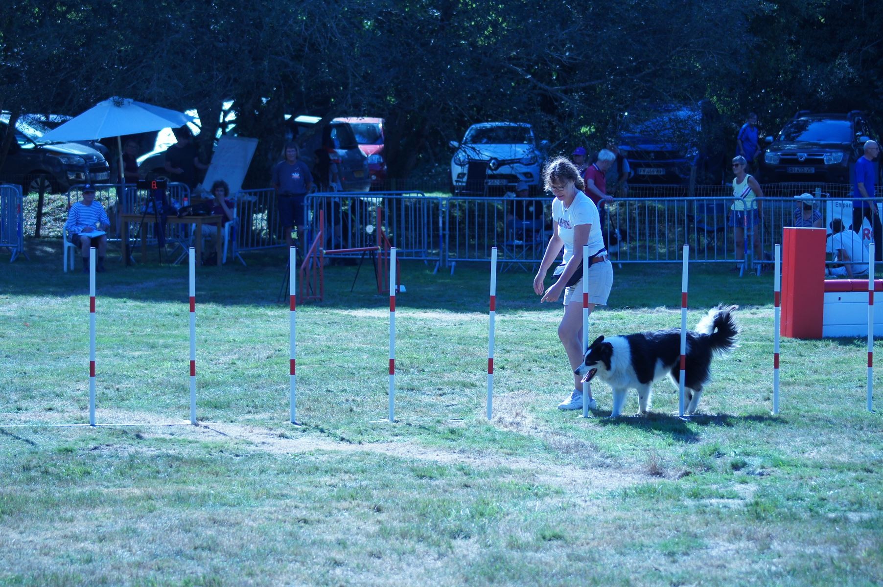 CONCOURS AGILITY 28 AOÛT 2022