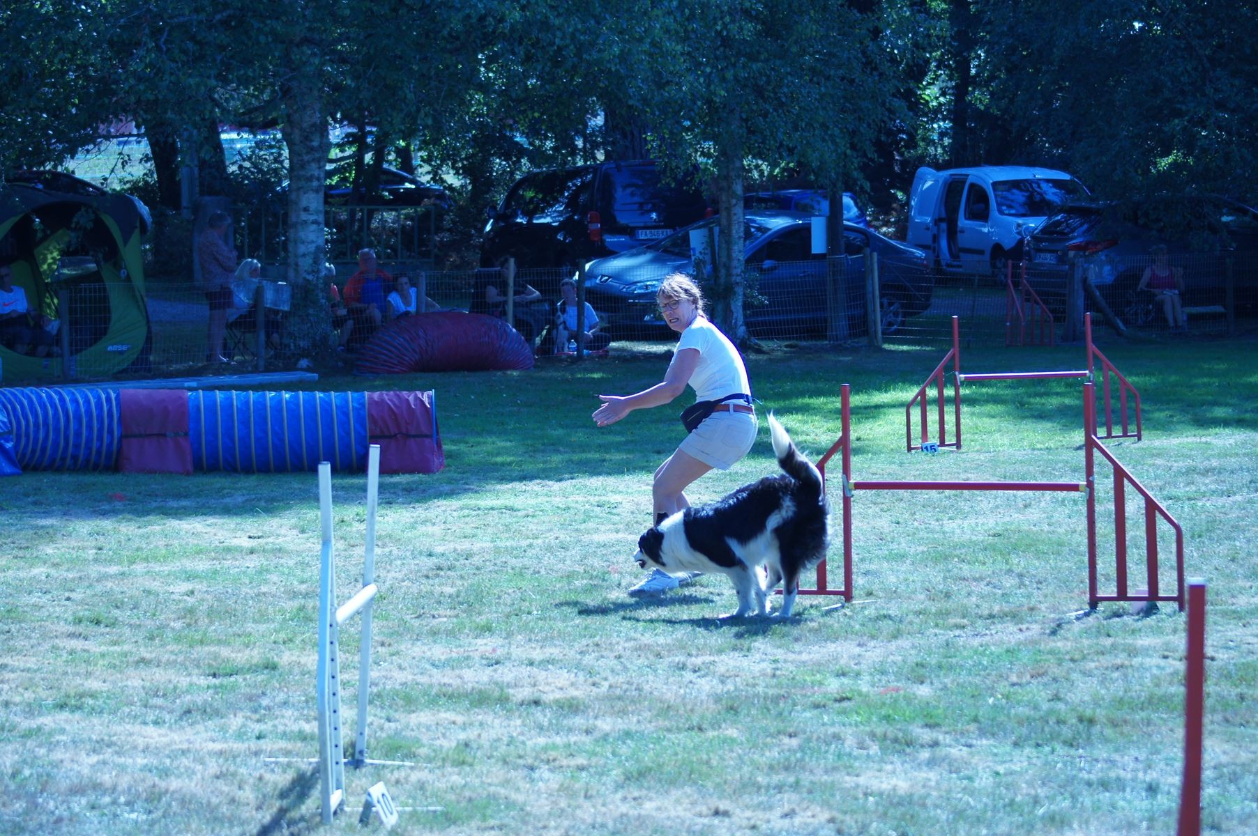 CONCOURS AGILITY 28 AOÛT 2022