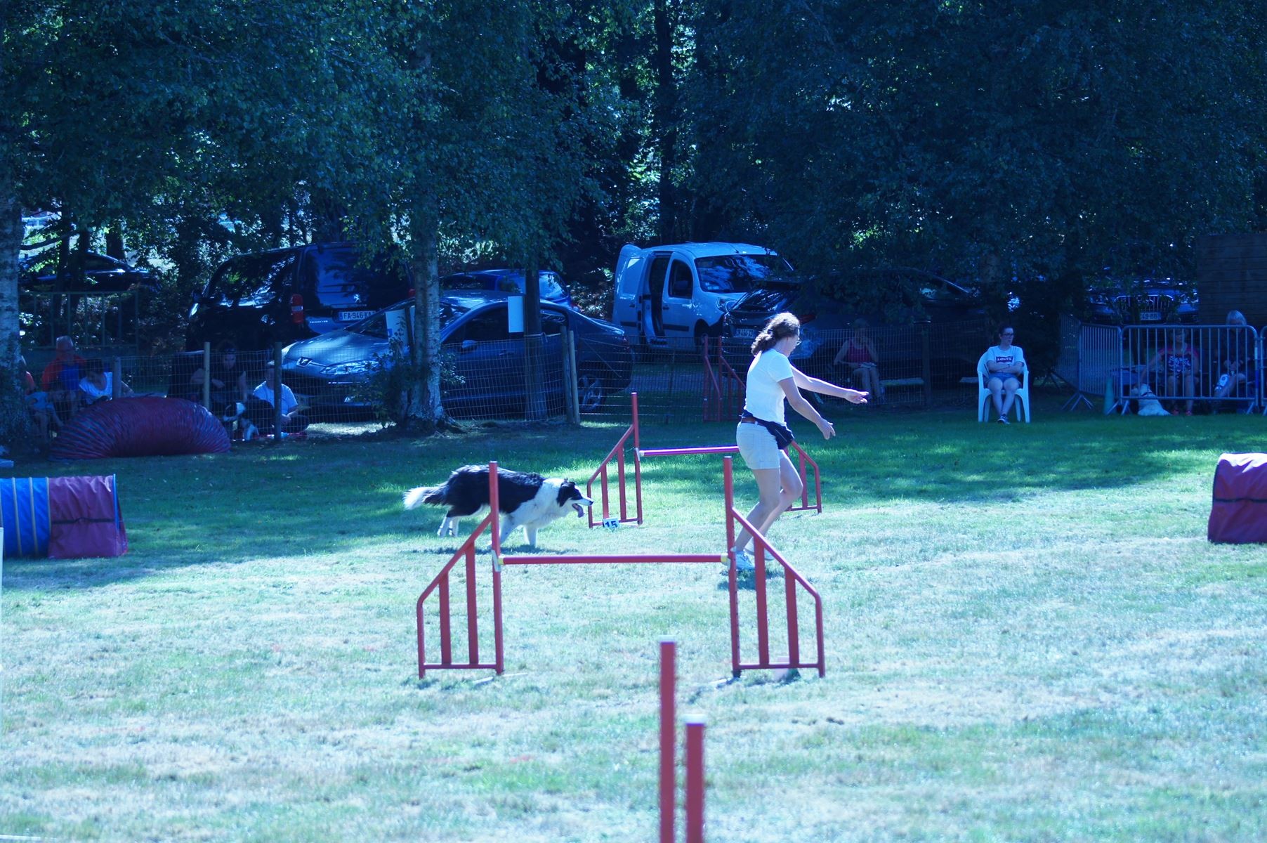 CONCOURS AGILITY 28 AOÛT 2022