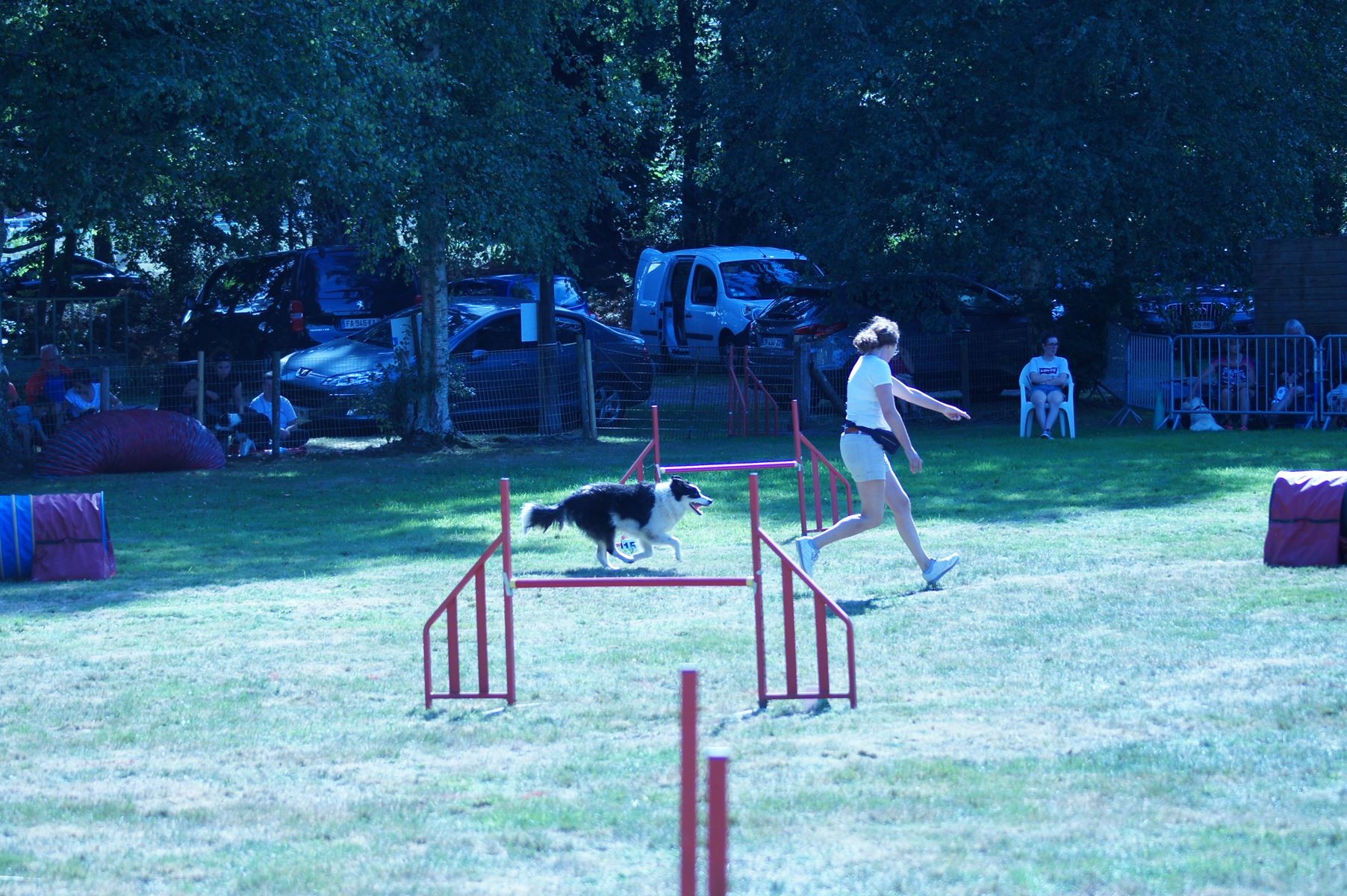 CONCOURS AGILITY 28 AOÛT 2022