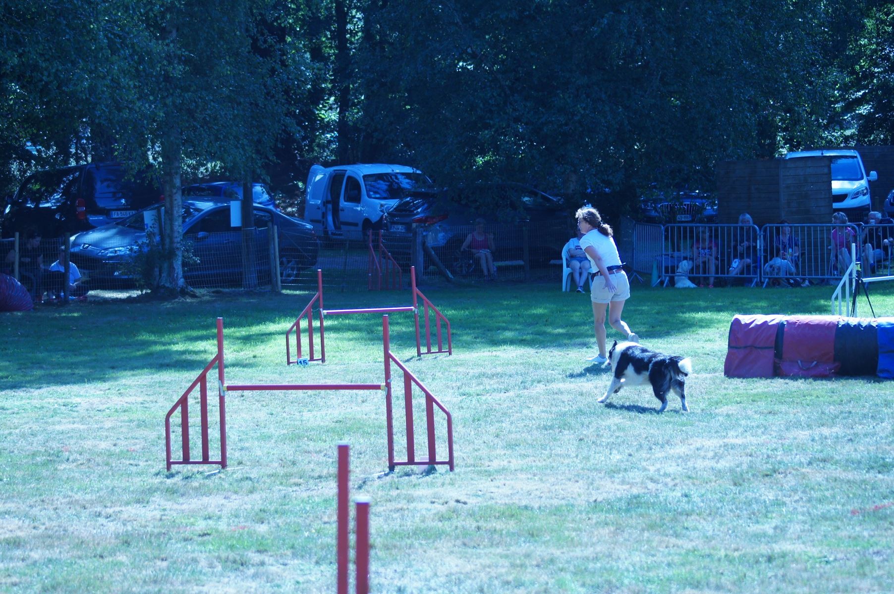 CONCOURS AGILITY 28 AOÛT 2022