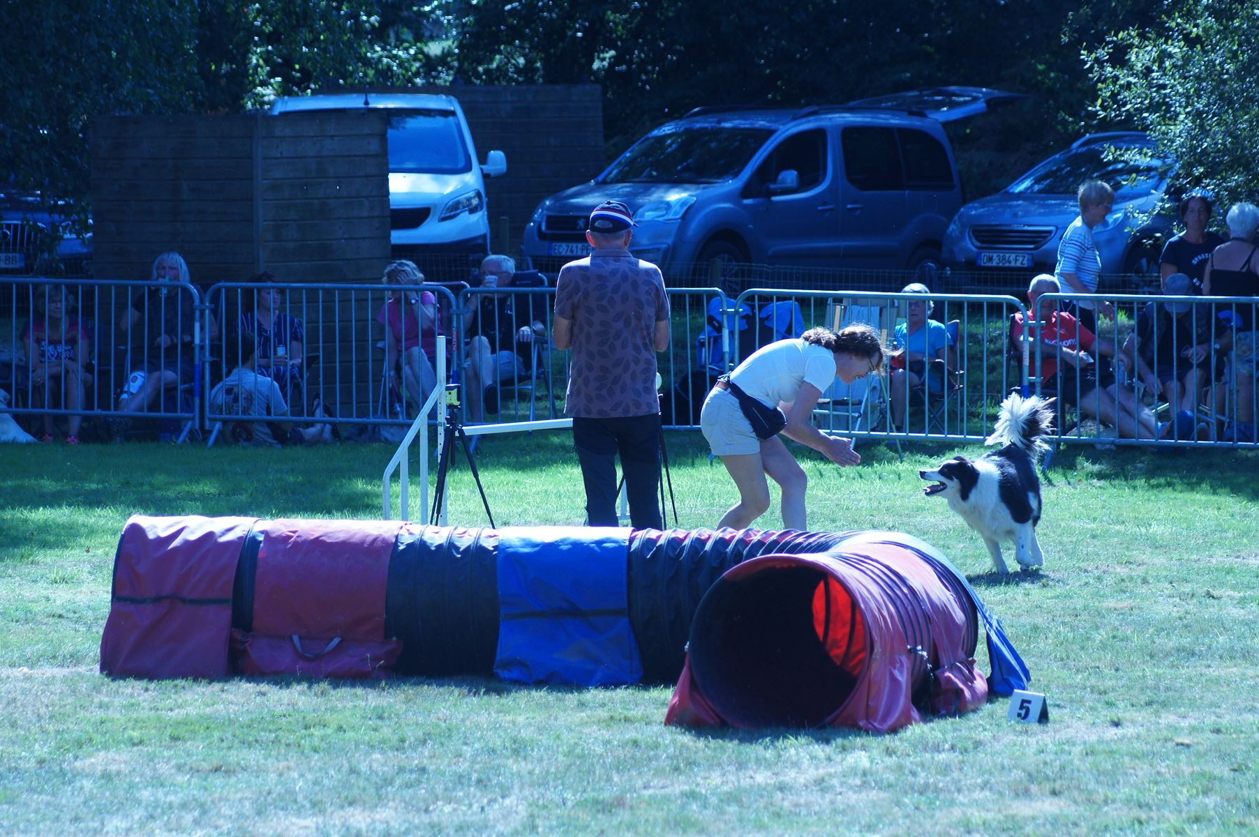 CONCOURS AGILITY 28 AOÛT 2022