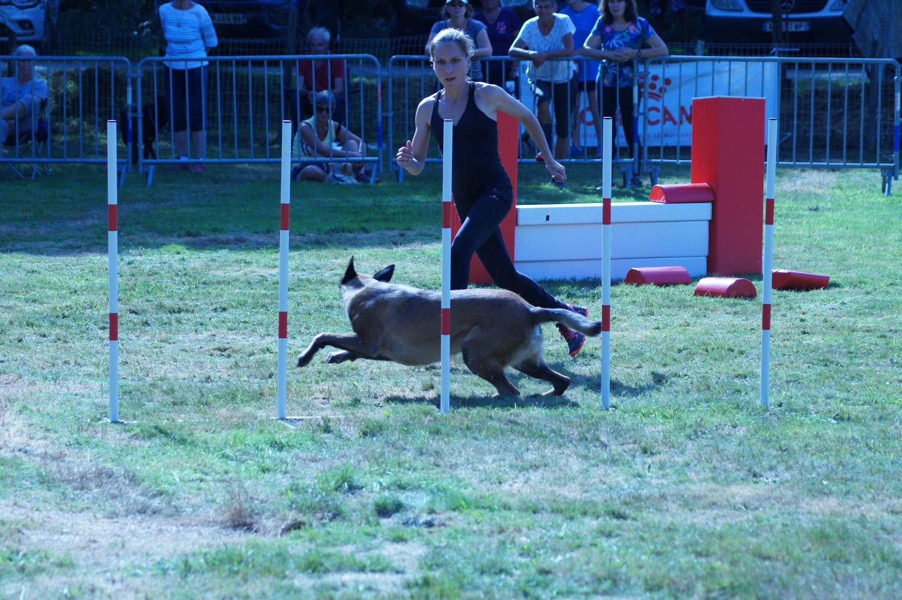 CONCOURS AGILITY 28 AOÛT 2022