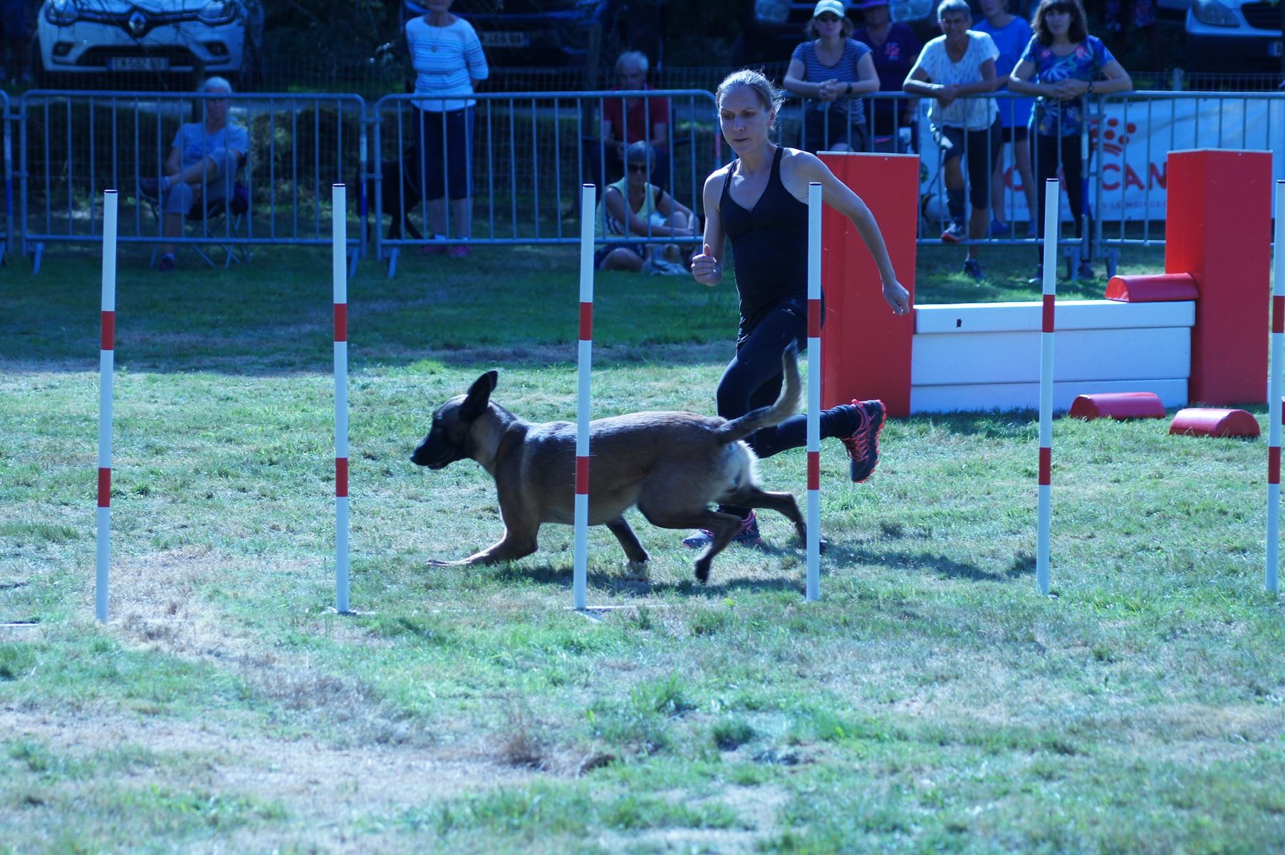 CONCOURS AGILITY 28 AOÛT 2022