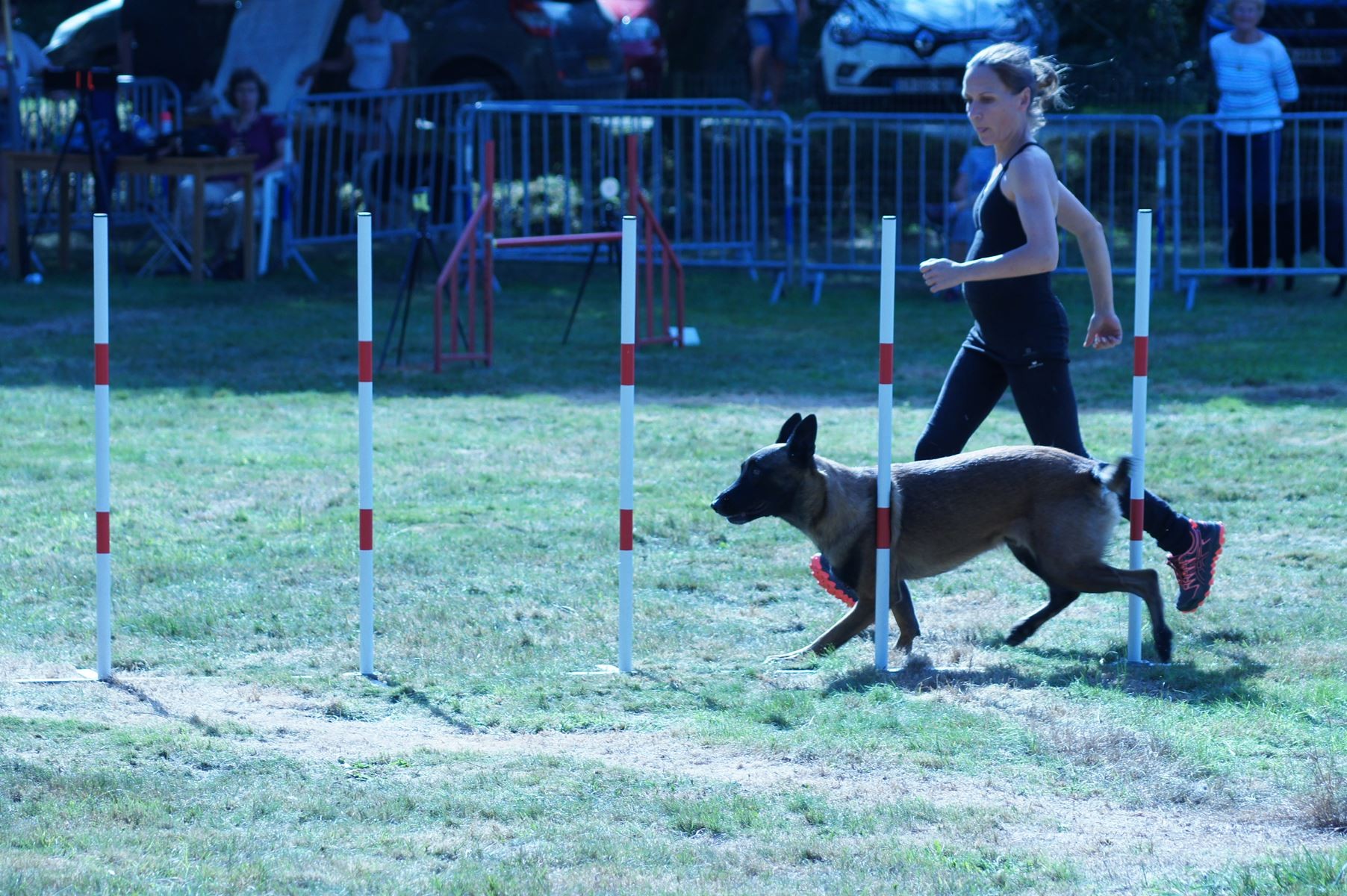 CONCOURS AGILITY 28 AOÛT 2022