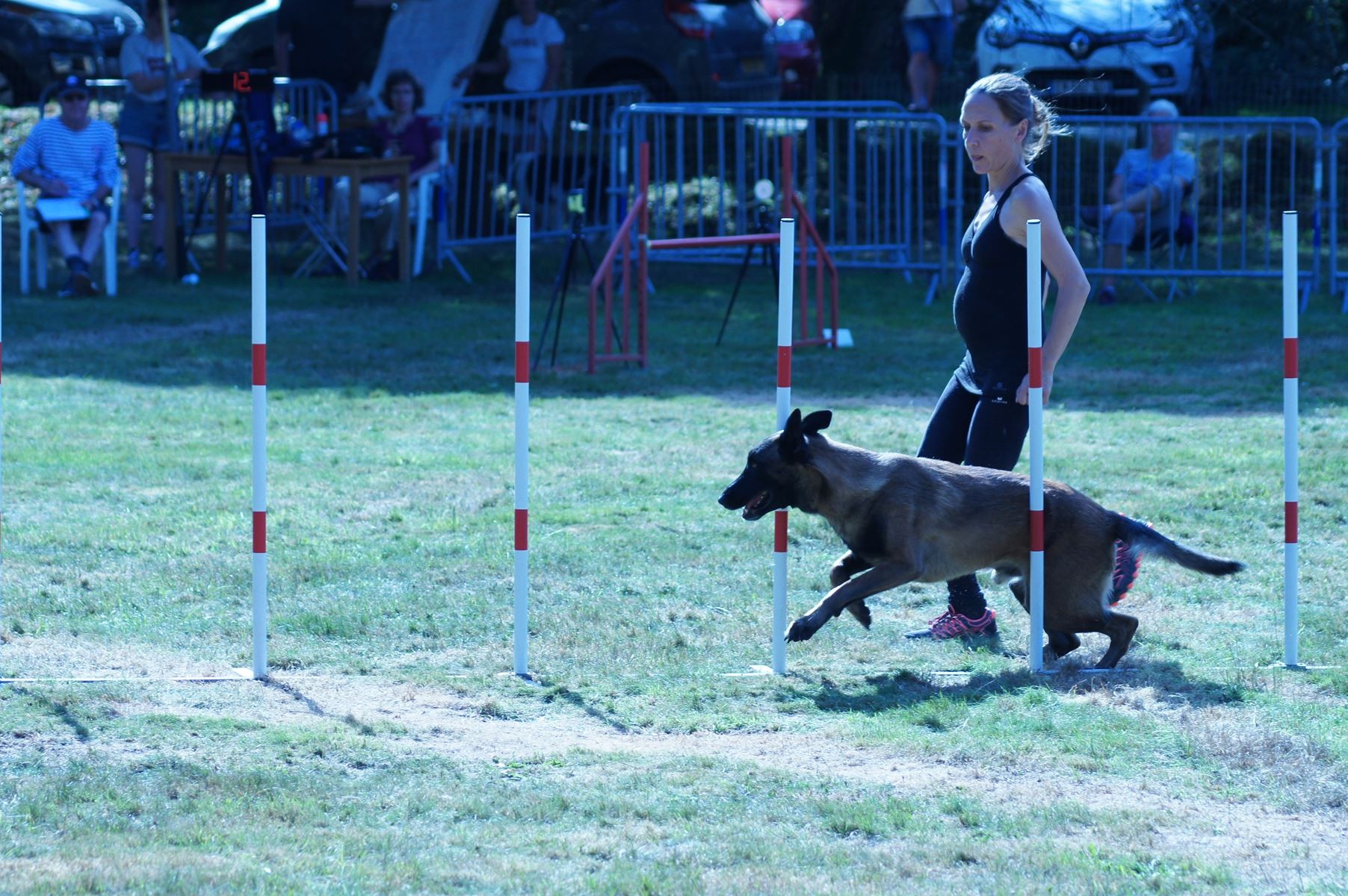 CONCOURS AGILITY 28 AOÛT 2022