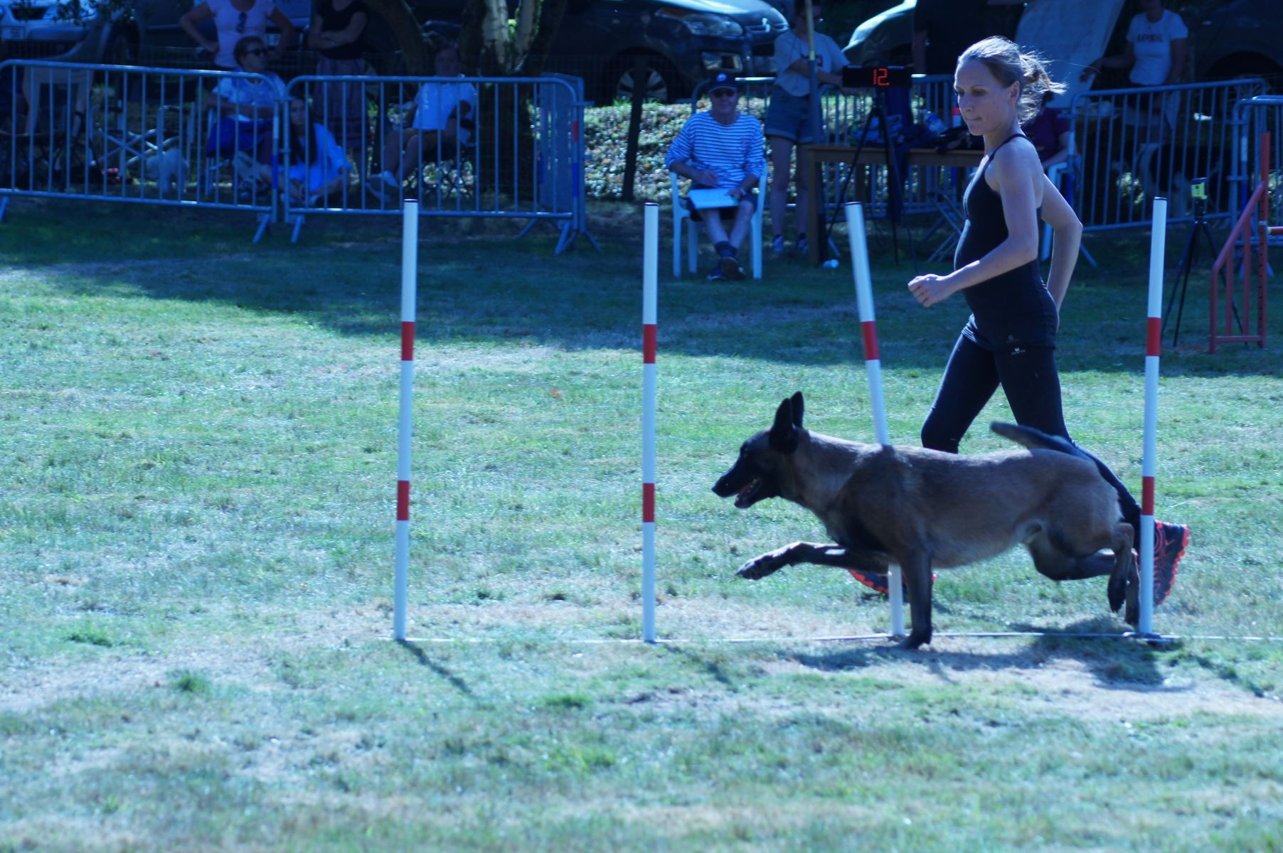 CONCOURS AGILITY 28 AOÛT 2022