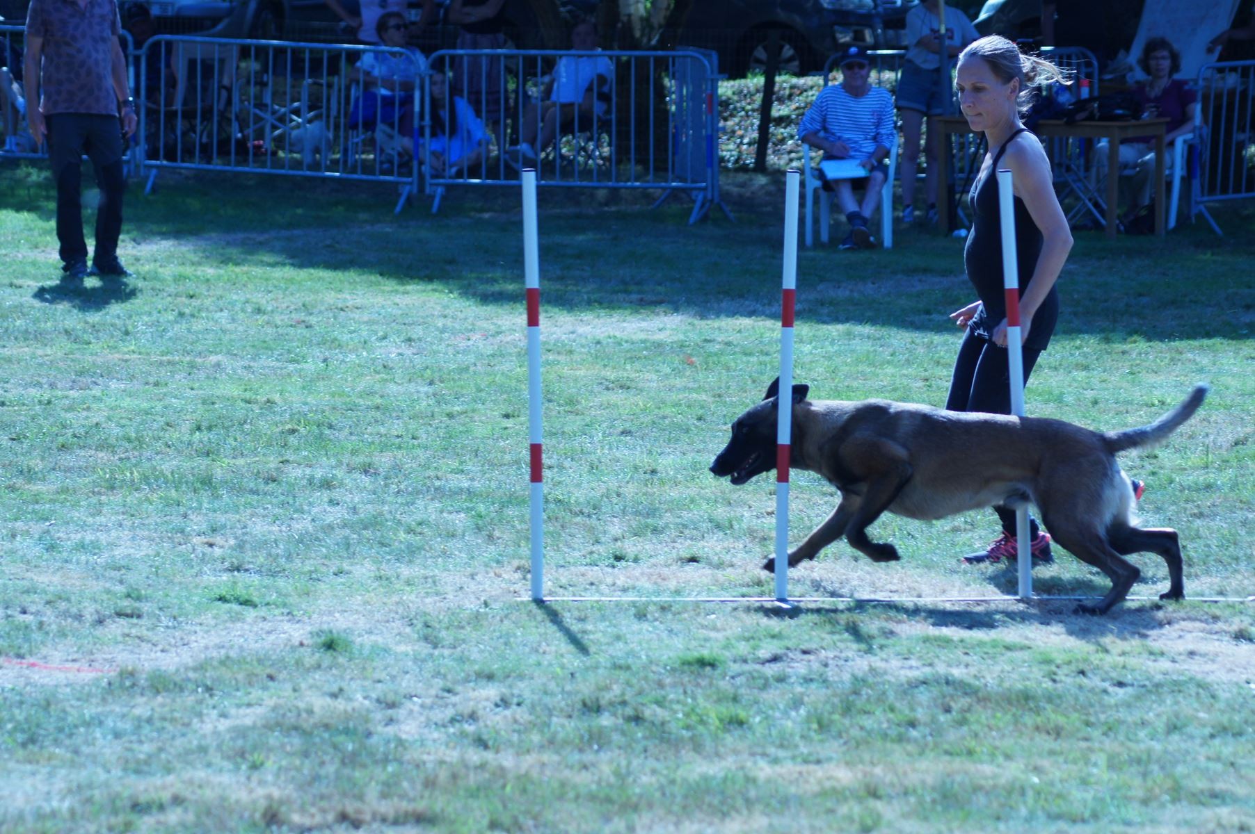 CONCOURS AGILITY 28 AOÛT 2022