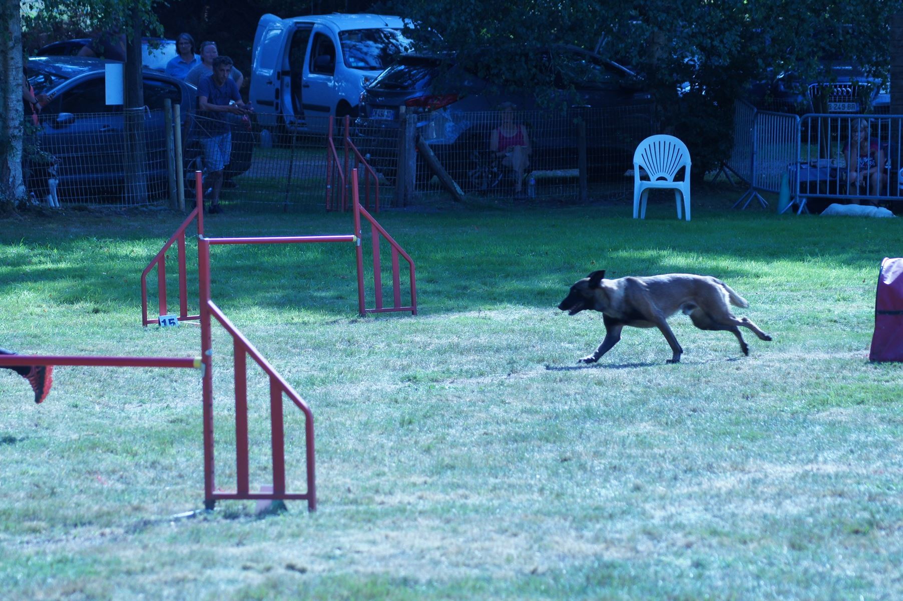 CONCOURS AGILITY 28 AOÛT 2022