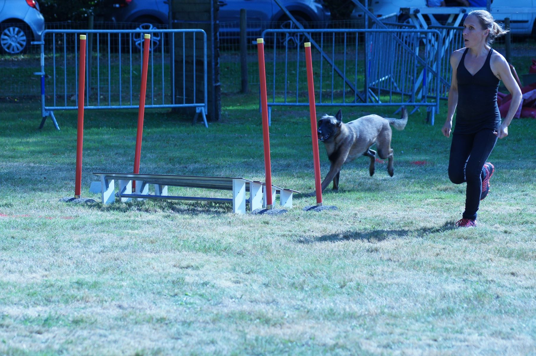 CONCOURS AGILITY 28 AOÛT 2022