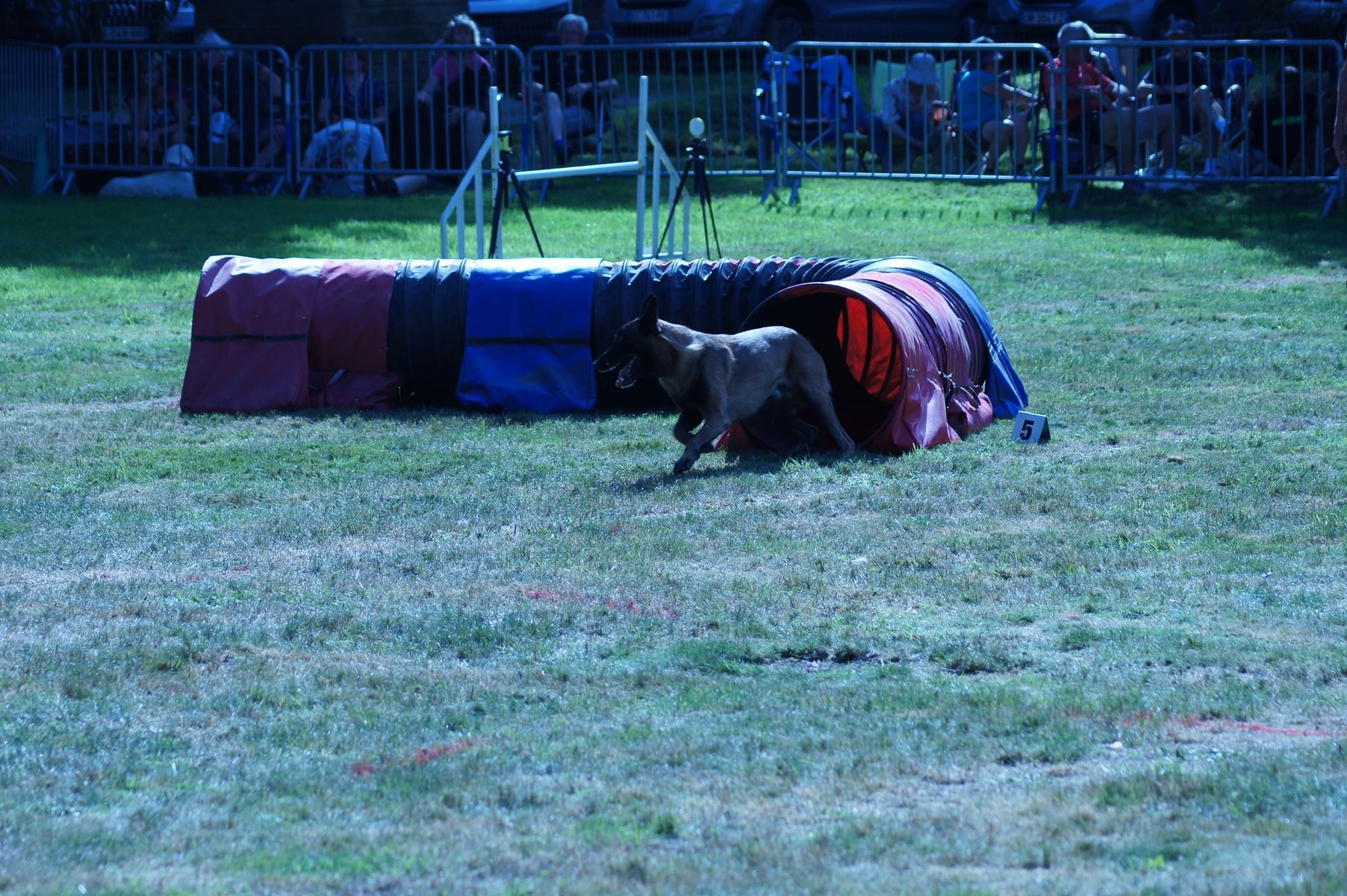 CONCOURS AGILITY 28 AOÛT 2022