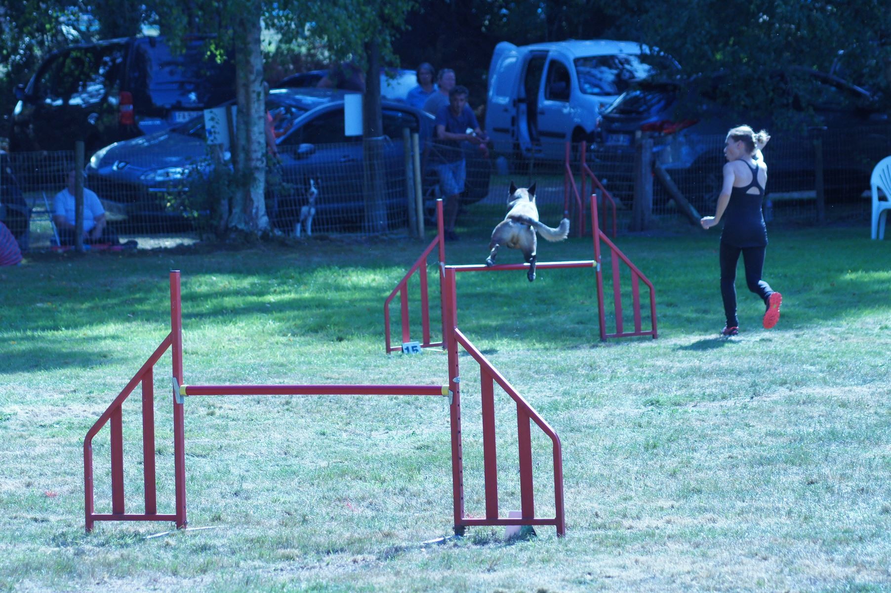 CONCOURS AGILITY 28 AOÛT 2022