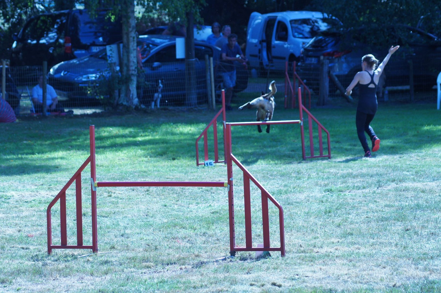 CONCOURS AGILITY 28 AOÛT 2022