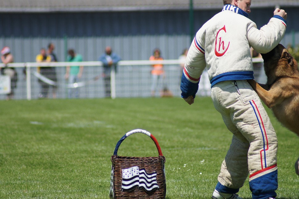 Championnat de France RING 29 ET 30 JUIN 2013 A QUIMPERLE