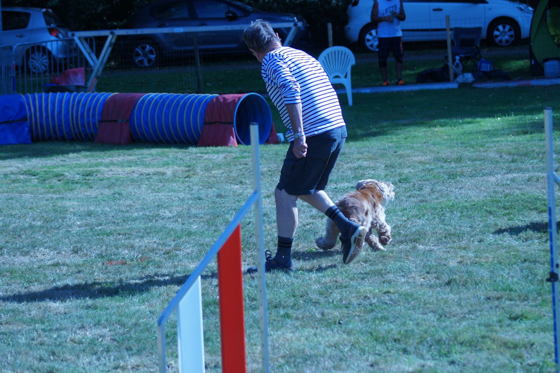 CONCOURS AGILITY 28 AOÛT 2022