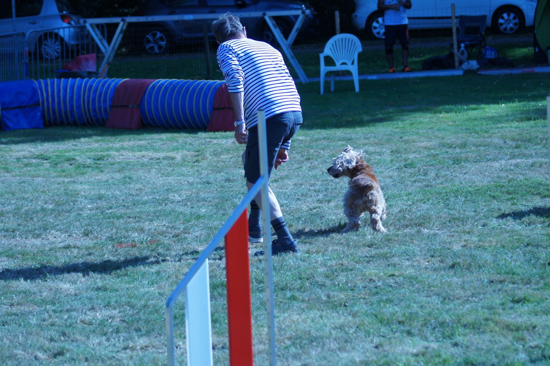 CONCOURS AGILITY 28 AOÛT 2022