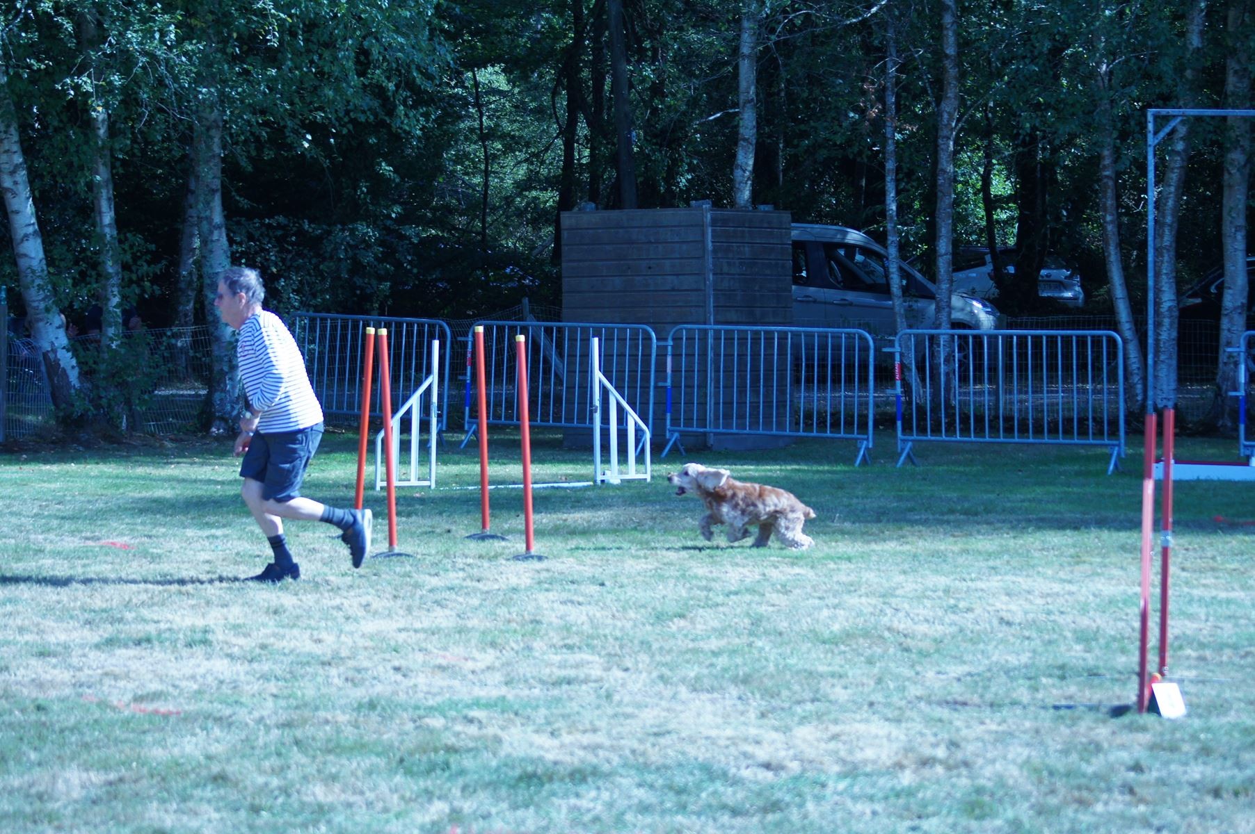 CONCOURS AGILITY 28 AOÛT 2022