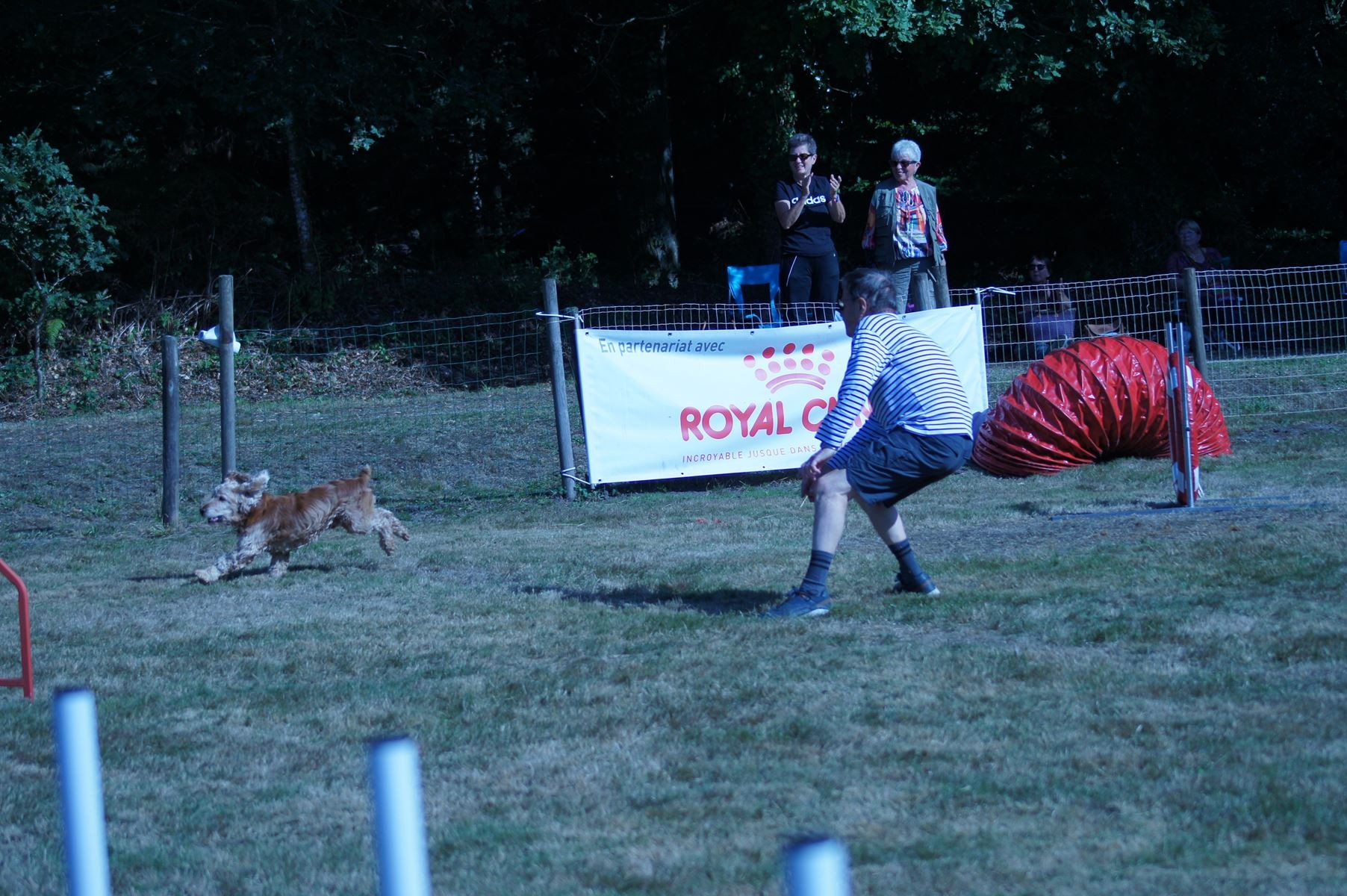 CONCOURS AGILITY 28 AOÛT 2022