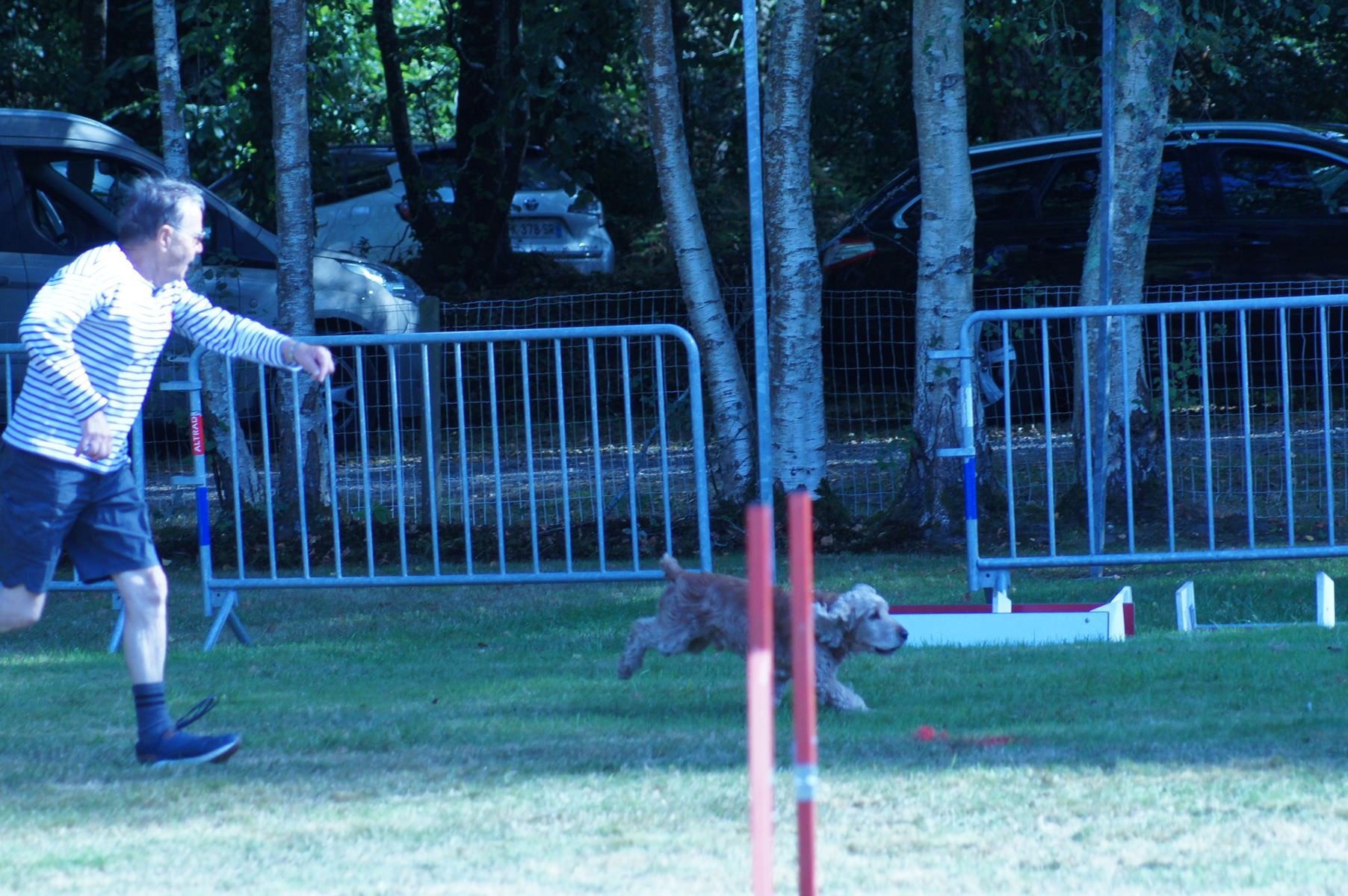 CONCOURS AGILITY 28 AOÛT 2022