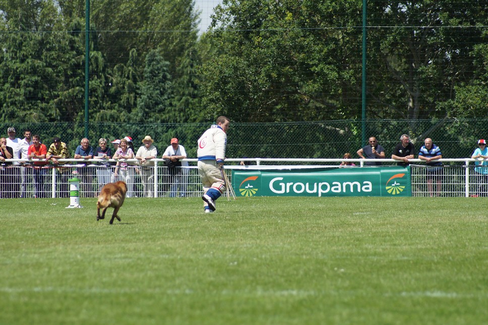 Championnat de France RING 29 ET 30 JUIN 2013 A QUIMPERLE