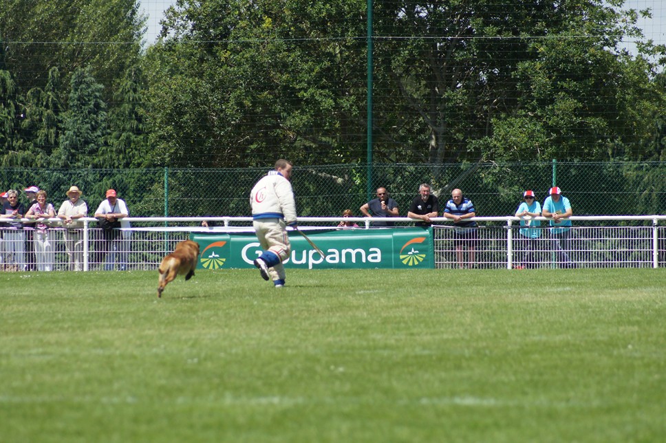 Championnat de France RING 29 ET 30 JUIN 2013 A QUIMPERLE