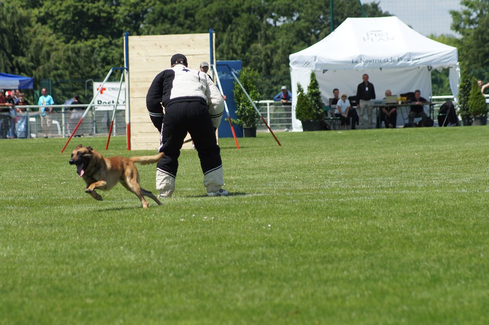 Championnat de France RING 29 ET 30 JUIN 2013 A QUIMPERLE