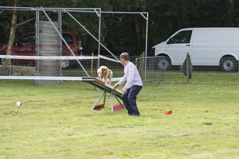 CONCOURS AGILITY AOUT 2016