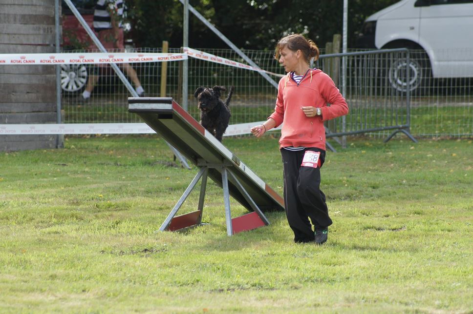 CONCOURS AGILITY AOUT 2016