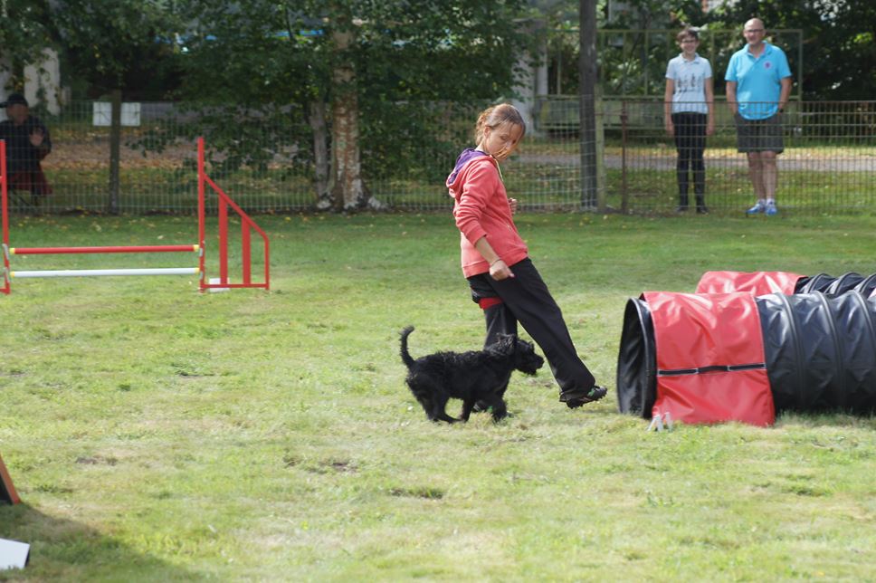 CONCOURS AGILITY AOUT 2016