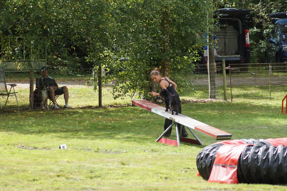 CONCOURS AGILITY AOUT 2016