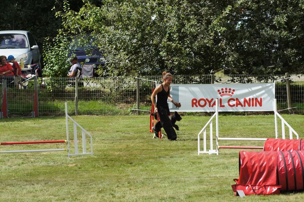 CONCOURS AGILITY AOUT 2016