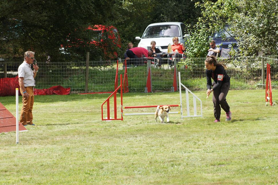 CONCOURS AGILITY AOUT 2016