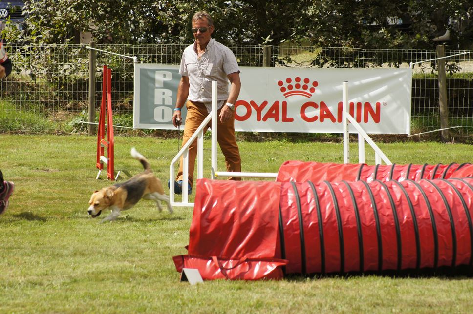 CONCOURS AGILITY AOUT 2016