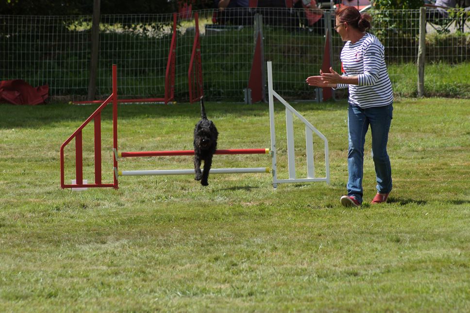 CONCOURS AGILITY AOUT 2016