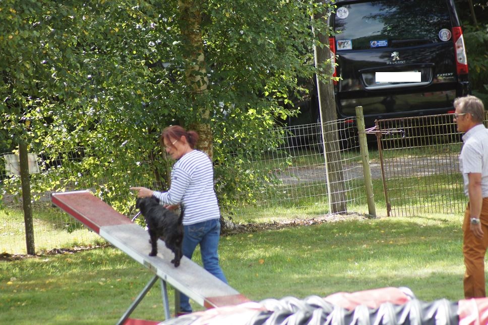 CONCOURS AGILITY AOUT 2016