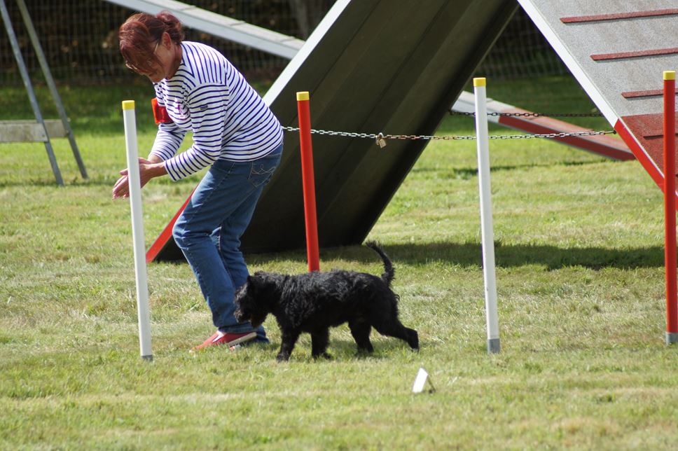 CONCOURS AGILITY AOUT 2016