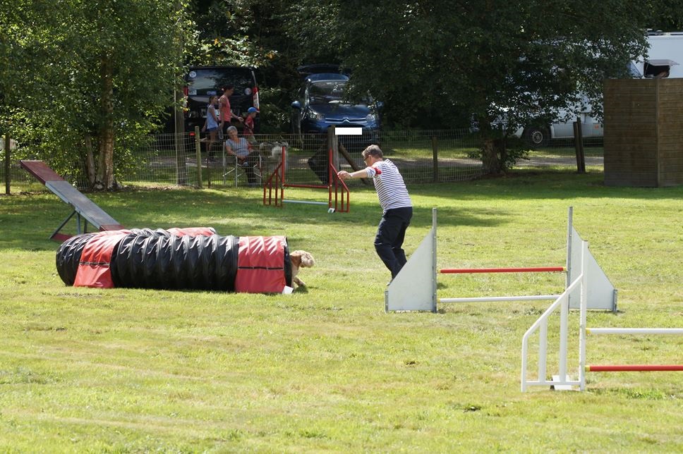 CONCOURS AGILITY AOUT 2016