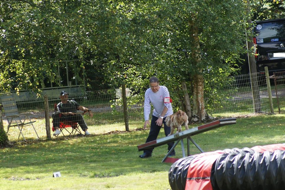 CONCOURS AGILITY AOUT 2016