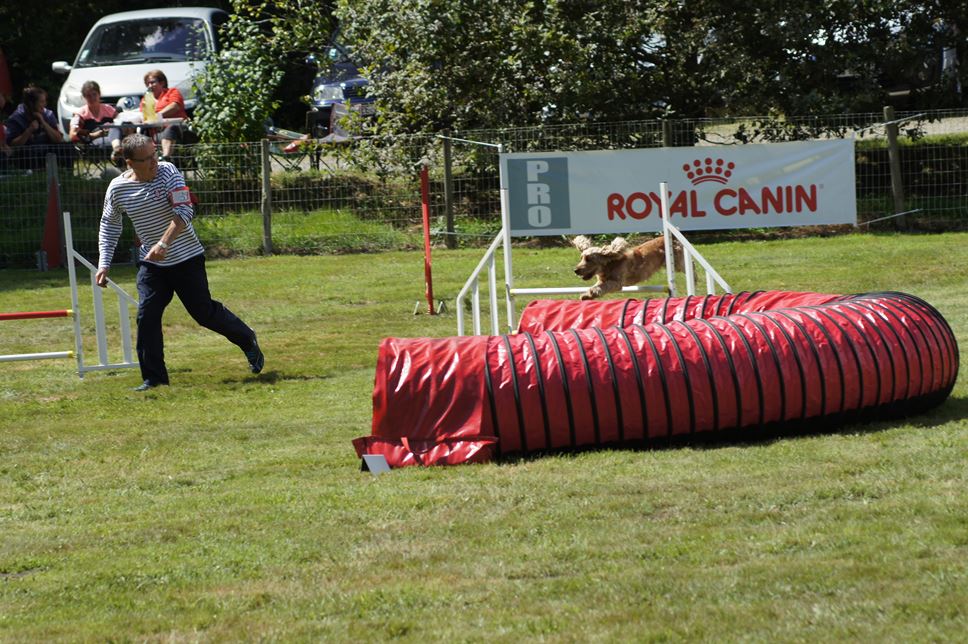 CONCOURS AGILITY AOUT 2016