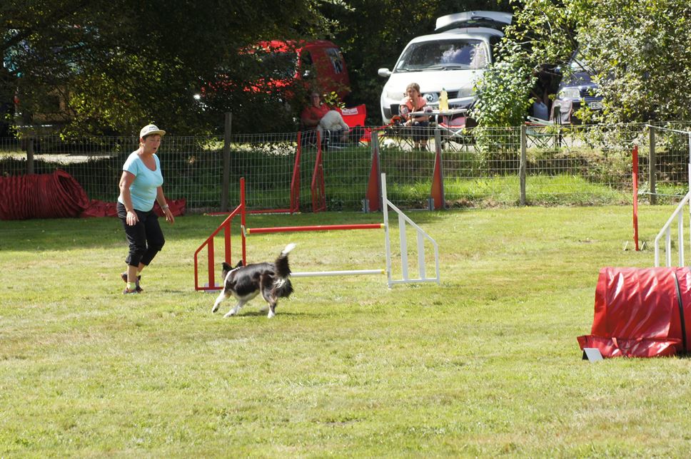 CONCOURS AGILITY AOUT 2016