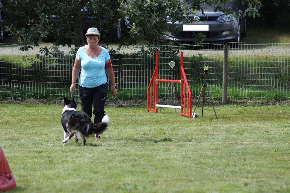 CONCOURS AGILITY AOUT 2016