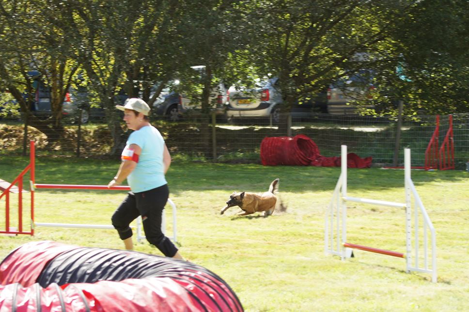 CONCOURS AGILITY AOUT 2016