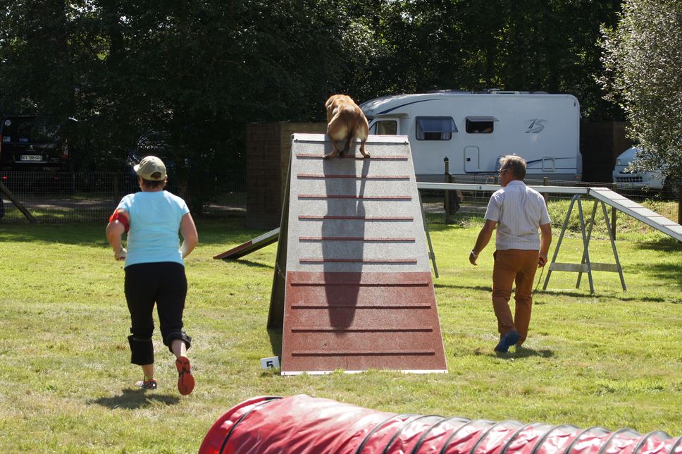 CONCOURS AGILITY AOUT 2016