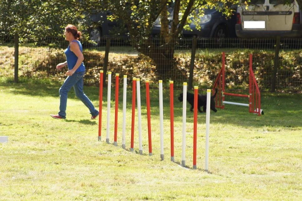 CONCOURS AGILITY AOUT 2016