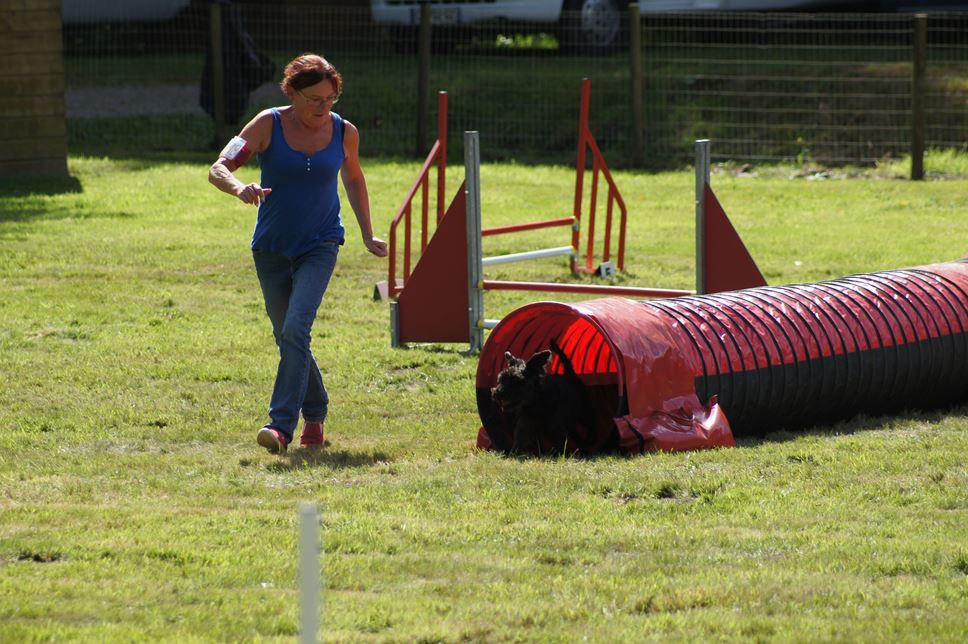 CONCOURS AGILITY AOUT 2016