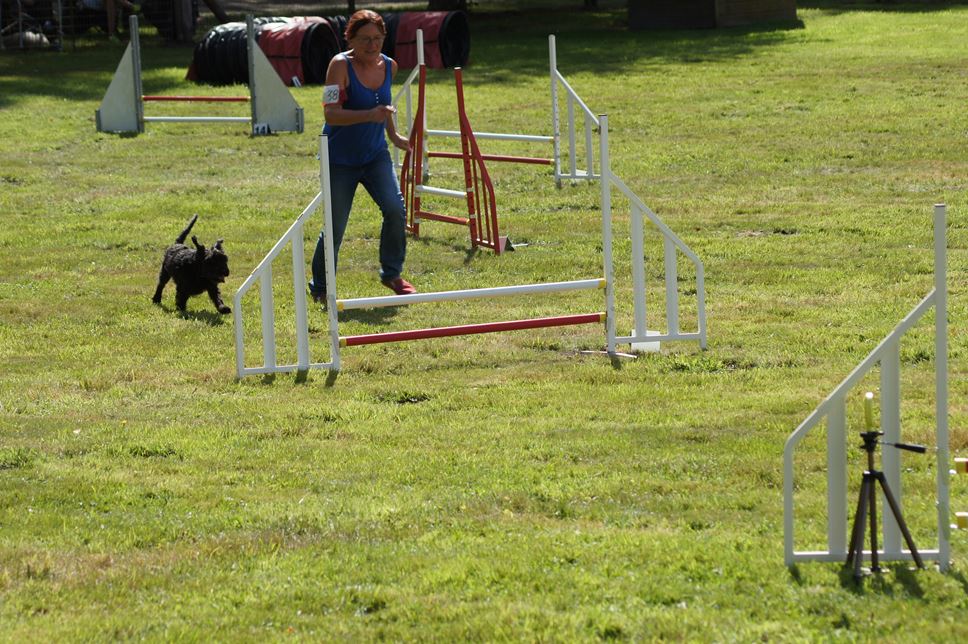 CONCOURS AGILITY AOUT 2016